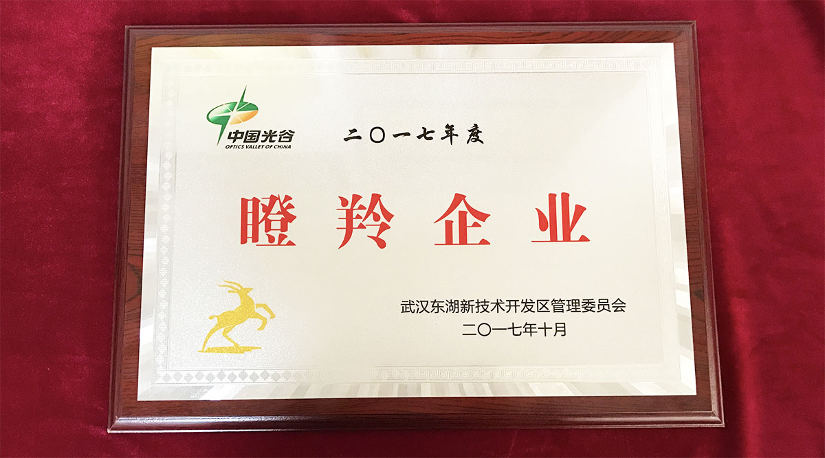 祝贺武汉迈信电气技术有限公司荣获中国光谷2017年度“瞪羚企业”！